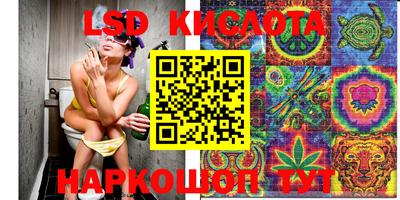 ECSTASY Сланцы
